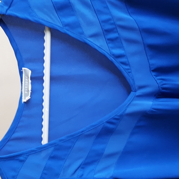 Pleione shell - Picture 4 of 6